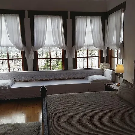 호텔 Hotel Gjirokastra 3*