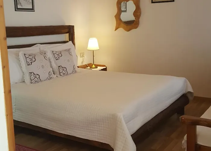 Hotel Hotel Gjirokastra Gjirokaster